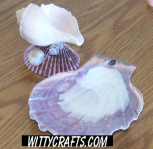 sea shell candle craft