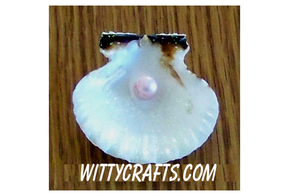 sea shell pin pearl teen crafts