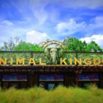 animal kingdom sign